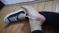 ZXS025�������۽�[49P]