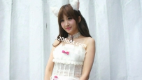 [�ƽ�VIPר���������]CY-13��������24������崿ģ�����ţ�����ʢ�磡һ�ο���ˬ