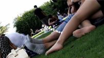 G1435͵���ٸ��ڲݵ�����Ьɹ˿�����ţ����Ϲ������Աߣ��ô̼���