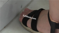 C263�������Ů�Ľ�������һ˫